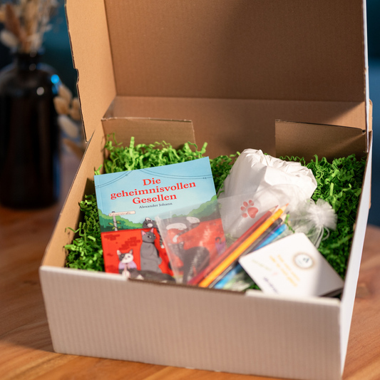 Familienzeit-Box "Die geheimnisvollen Gesellen"